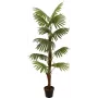 EUROPALMS Τεχνητό φυτό φοίνικας, 155cm 82509303