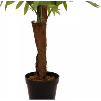 EUROPALMS Τεχνητό φυτό φοίνικας, 155cm 82509303