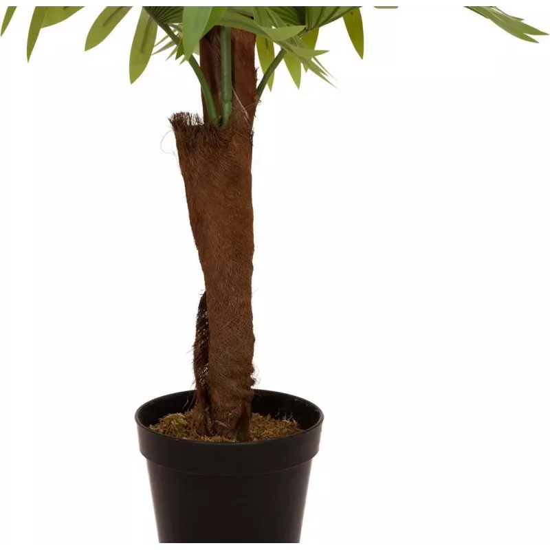 EUROPALMS Τεχνητό φυτό φοίνικας, 155cm 82509303
