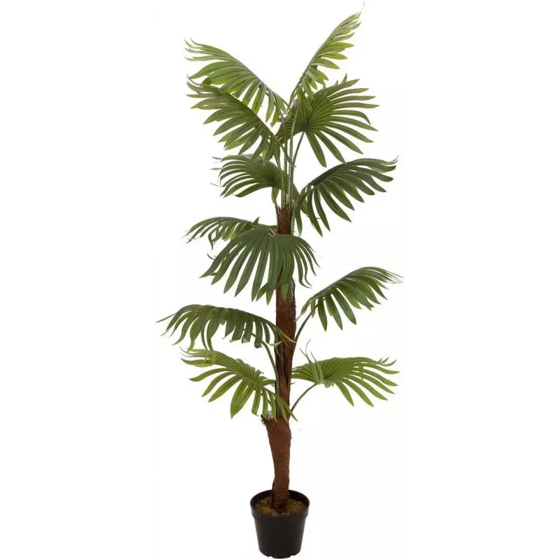 EUROPALMS Τεχνητό φυτό φοίνικας, 155cm 82509303