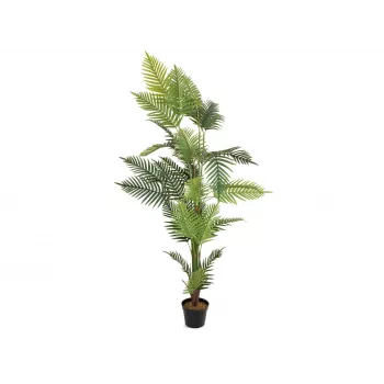 EUROPALMS Τεχνητό φυτό παλάμη Areca 180cm 82509415