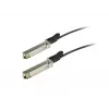 ALLNET ALL4779-2 25G SFP28 καλώδιο Direct Attach, 2m