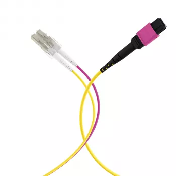 EFB Elektronik καλώδιο trunk MPO-PLUS (F) σε LC Duplex, OM4, 12 ινών, Τύπου B, LSZH, Erika Violett, 3 m MPOF12LCOM4-3