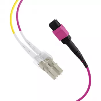 EFB Elektronik καλώδιο trunk MPO-PLUS (F) σε LC Duplex, OM4, 12 ινών, Τύπου B, LSZH, Erika Violett, 3 m MPOF12LCOM4-3