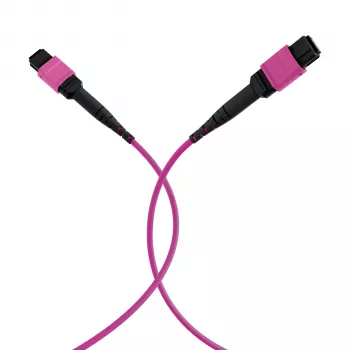 EFB Elektronik καλώδιο patch MPO-PLUS(F)-MPO-PLUS(F) OM4 12 ινών Τύπου B LSZH, Erika-Violett, 20 m MPOF12MPOFOM4-20