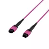 EFB Elektronik MPO-PLUS OM4 8-ινών Τύπος B LSZH καλώδιο patch, Erika-Violett, 3m MPOF8MPOFOM4-3