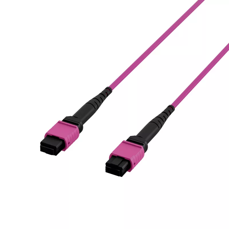 EFB Elektronik MPO-PLUS OM4 8-ινών Τύπος B LSZH καλώδιο patch, Erika-Violett, 3m MPOF8MPOFOM4-3