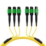EFB MTPF48MTPFOS2-25-A OS2 Singlemode 48 ινών MTP APC καλώδιο patch, 25 m, κίτρινο