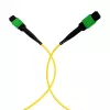 EFB MTPF48MTPFOS2-25-A OS2 Singlemode 48 ινών MTP APC καλώδιο patch, 25 m, κίτρινο