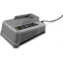 Kärcher Professional Battery Power+ ταχυφορτιστής 2.445-045.0