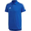adidas Condivo 20 ανδρικό polo Team Royal Blue/White ED9237 μέγεθος S