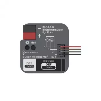 BUSCH-JAEGER KNX Δυαδική είσοδος 2 απλή χωνευτή BI-F-2.0.12 (2CDG510023R0021)