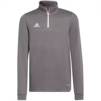 adidas Entrada 22 Προπονητικό μπλουζάκι γκρι παιδικό 128cm H57549