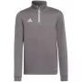 adidas Entrada 22 Προπονητικό μπλουζάκι γκρι παιδικό 128cm H57549