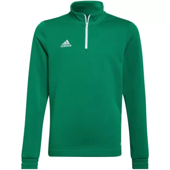 adidas Entrada 22 Προπονητικό μπλουζάκι παιδικό φούτερ πράσινο HI2132 152cm