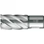 BDS τρυπάνι πυρήνα HSS Standard 17,0 mm βάθος κοπής 30 mm στέλεχος Weldon (KBK-017)