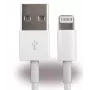 CYOO CY120130 Καλώδιο Lightning σε USB-A 0,5m Λευκό