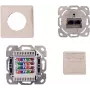 IT-BUDGET Cat.6A θωρακισμένη πρίζα δικτύου χωνευτή, 2 x RJ45, λευκό, PoE+ 90ITBDDRW