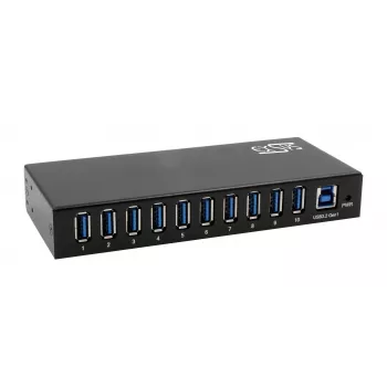 EXSYS EX-11290HMS USB 3.2 Gen 1 10-Port Hub με τροφοδοτικό 12V/5A