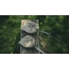 Robens Smokey Hill Τηγάνι Camping, Ασημί