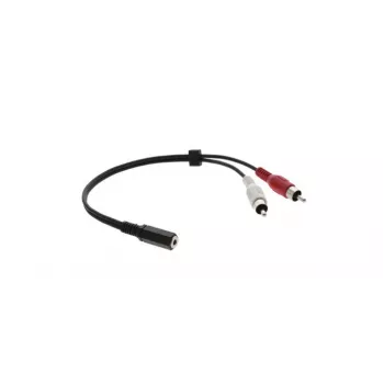 Kramer C-A35F/2RAM-1 Καλώδιο προσαρμογέα ήχου - 3,5 mm υποδοχή θηλυκή σε 2x RCA βύσμα αρσενικό, 30 cm, μαύρο