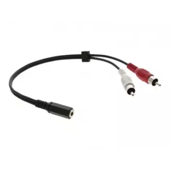 Kramer C-A35F/2RAM-1 Καλώδιο προσαρμογέα ήχου - 3,5 mm υποδοχή θηλυκή σε 2x RCA βύσμα αρσενικό, 30 cm, μαύρο