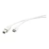 Kramer C-USB/CB-10 καλώδιο USB 2.0, βύσμα USB-C σε βύσμα USB-B, 3 m, λευκό 96-02357110