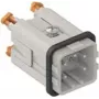 ILME CKSHM04 SQUICH Ένθετο αρσενικού βύσματος 4P+PE 10A 400V Ασημί επαφές Μέγεθος 21.21