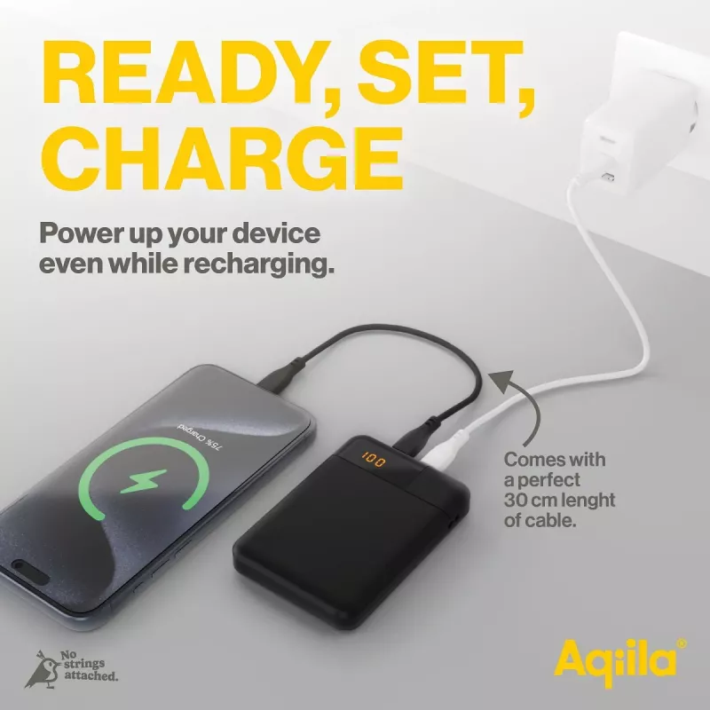 Aqiila Powerbird B5 5000 mAh Powerbank 12W Moosgrün AQPBPBIB5MGR024