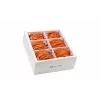 Wirewin SLIM-LS-K6A 3.0 OR 36 Cat6A U/FTP Slim Ethernet Patch Καλώδιο, 3m, Πορτοκαλί, συσκευασία 36 τεμ.