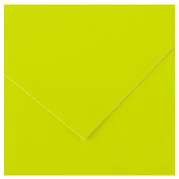 Canson Vivaldi χρωματιστό χαρτί, 500 x 650 mm, 250 g/m², νεοφλού, 25 φύλλα (C200403809)
