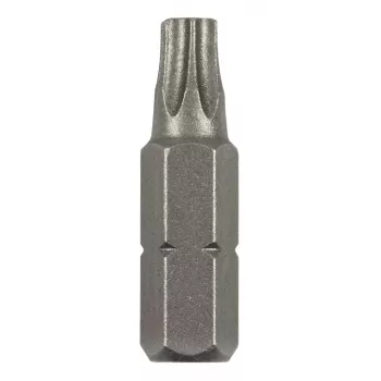 Bosch Torx-Bit T 8 C 6,3 2 τεμ. (2609255931)