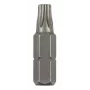Bosch Torx-Bit T 8 C 6,3 2 τεμ. (2609255931)