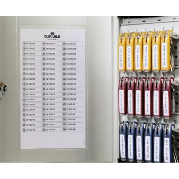 DURABLE KEY BOX 18 Κουτί κλειδιών με κλειδαριά κυλίνδρου, Ανοιχτό γκρι 195123