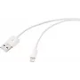 Renkforce Καλώδιο USB 2.0 USB-A σε Apple Lightning 1m λευκό ματ RF-5724084