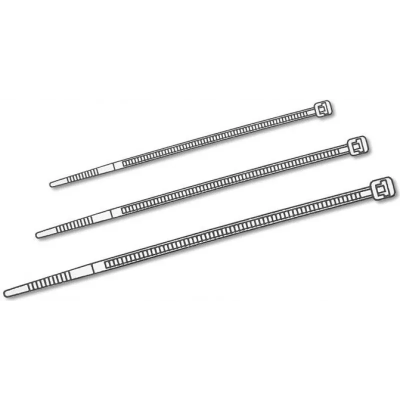 Delock δεματικά καλώδίων διαφανή L 200 x Π 3,6 mm 100 τεμ. (18606)