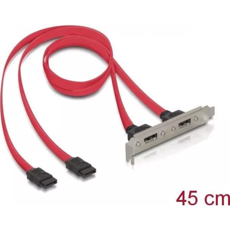 Delock βάση υποδοχής εσωτερική 2x SATA σε 2x eSATA εξωτερική (65116)