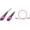 LogiLink FM7LC05 Καλώδιο patch MPO, 12 ίνες, Multimode OM4 50/125 µm, MPO/PC B/B, Type B, 5 m
