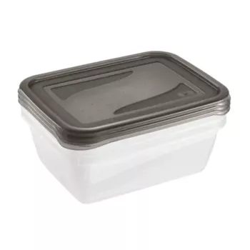 keeeper fredo fresh Σετ δοχείων αποθήκευσης, 3x 1,25 L, ορθογώνια, διάφανος πυθμένας με γκρι καπάκι 3067582700000