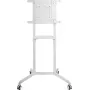 PureLink PureMounts κινητή βάση TV, λευκή (PM-CART-80W)
