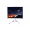 celexon Economy Οθόνη προβολής με τρίποδο 133 x 133 cm White Edition