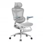 SIHOO DORO C300 Pro Mesh Εργονομική καρέκλα γραφείου με υποπόδιο, λευκή