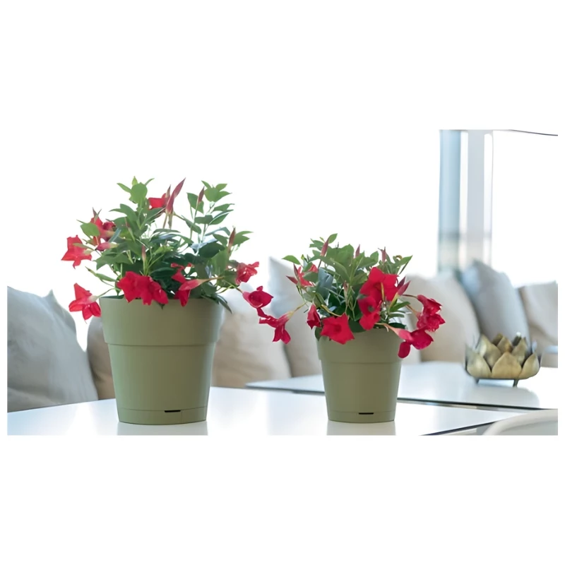 STEFANPLAST Γλάστρα με πιατάκι Ethica Ø40x39cm Πράσινο