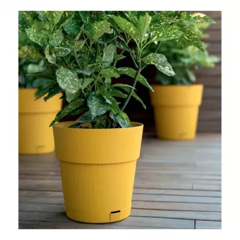 STEFANPLAST Ethica Στρογγυλή γλάστρα με πιατάκι, 25 cm, Κίτρινο μουστάρδας