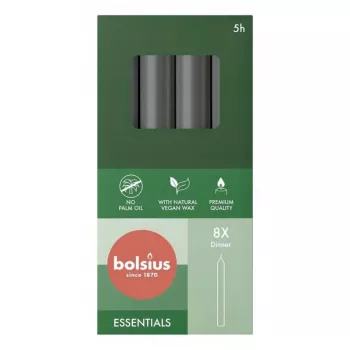 Bolsius Κεριά τραπεζιού 8 τεμ. σε κουτί 170/20 mm Γκρι