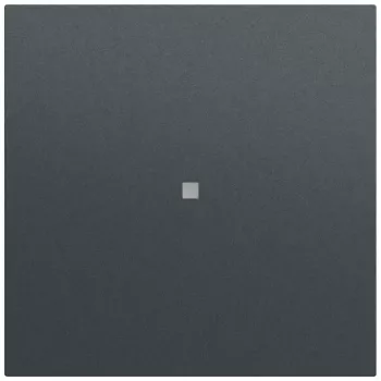 Gira System 70 Πλήκτρο με παράθυρο ελέγχου, Ανθρακί (329073)
