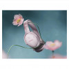 Bose QuietComfort Ακουστικά Ροζ