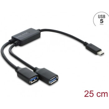 Delock 2 Port USB 5 Gbps Type-A hub καλωδίου με υποδοχή USB Type-C™ 25 cm (64373)