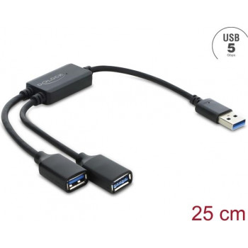 Delock 2 Port USB 5 Gbps Type-A hub καλωδίου με βύσμα USB Type-A 25 cm (64374)