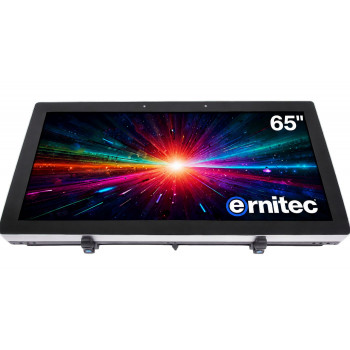 Ernitec 65 inch 24/7 4K UHD οθόνη (0070-24165-HB3000-L)